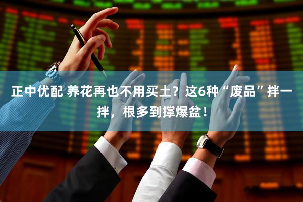 正中优配 养花再也不用买土？这6种“废品”拌一拌，根多到撑爆盆！