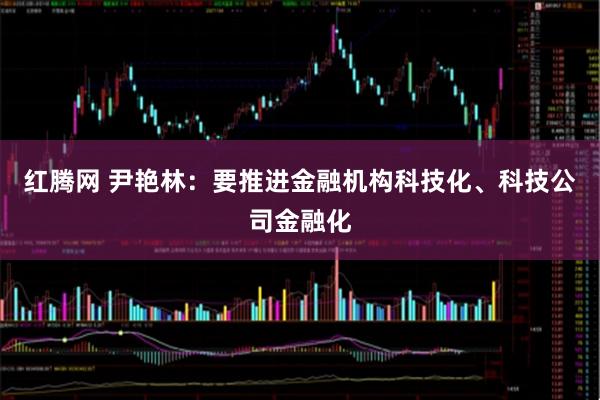 红腾网 尹艳林：要推进金融机构科技化、科技公司金融化